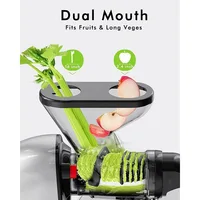 SiFENE Slow Masticating Cold Press Juicer Machines for Fruit & Vegetable, Juice Yield Maker Extractor with Dual Mouth, Gray 2