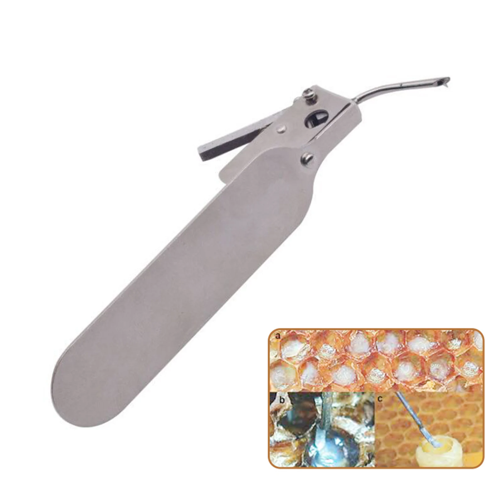 Master Worm Grafting Tool With Spare Tongue Single-End For Moving Queen Bee Larva Beekeeper Bee Rearing Grafting Tackle
