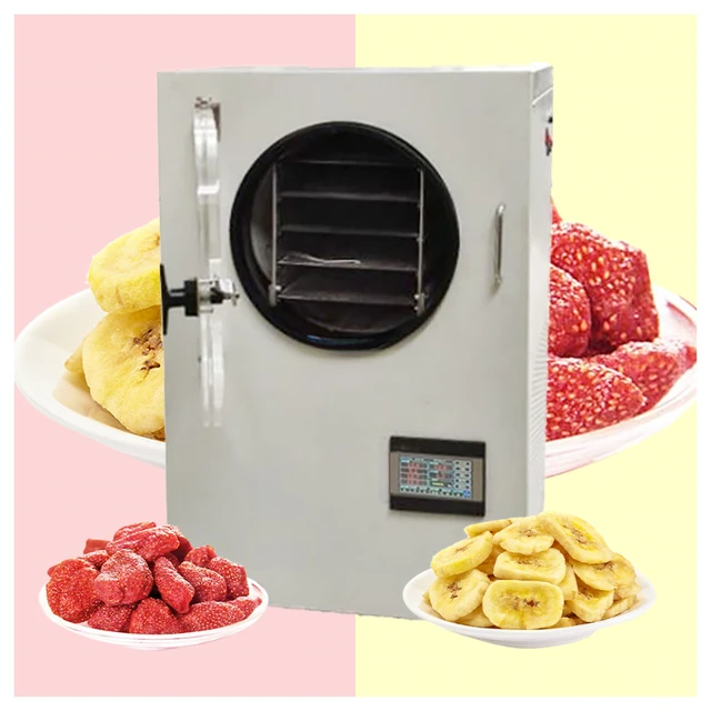 Small Freeze Drying Machine Vacuum Lyophilizer Vegetable fruit Meat Pet  Food Home Freeze Dryer - AliExpress