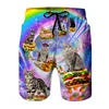 Funny Dinosaur Cat Graphics Beach Shorts Men 3D Print Animal Surfing Board Shorts Summer Hawaiian Swim Trunks Cool Ice Shorts 4