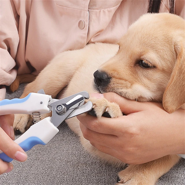 Pet Nail Clipper Professional Scissors Dog Cat Nail Toe Claw Trimmer Grooming Tools For Animals Pet Supplies Stainless Steel 2
