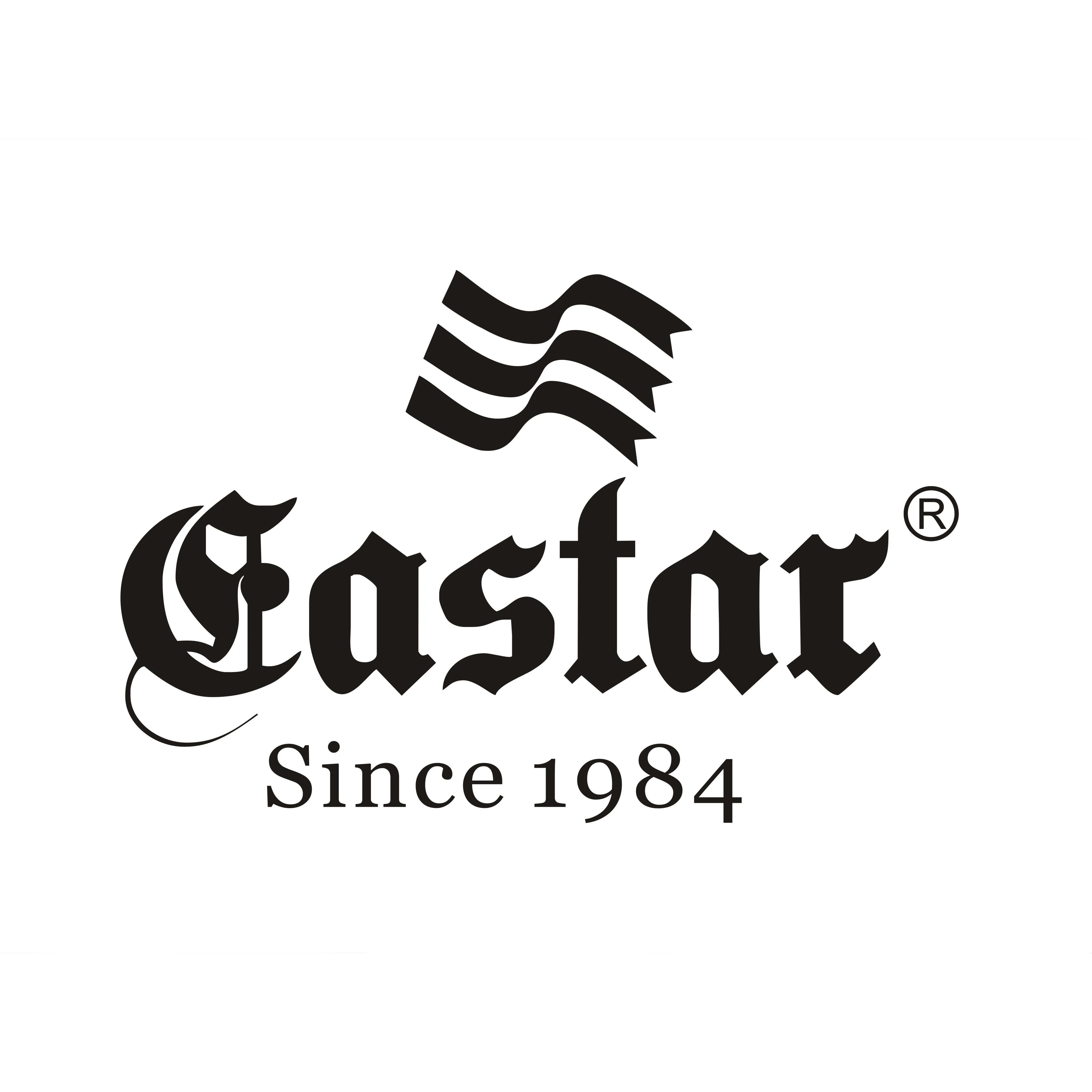 EASTAR Dropshipping Store