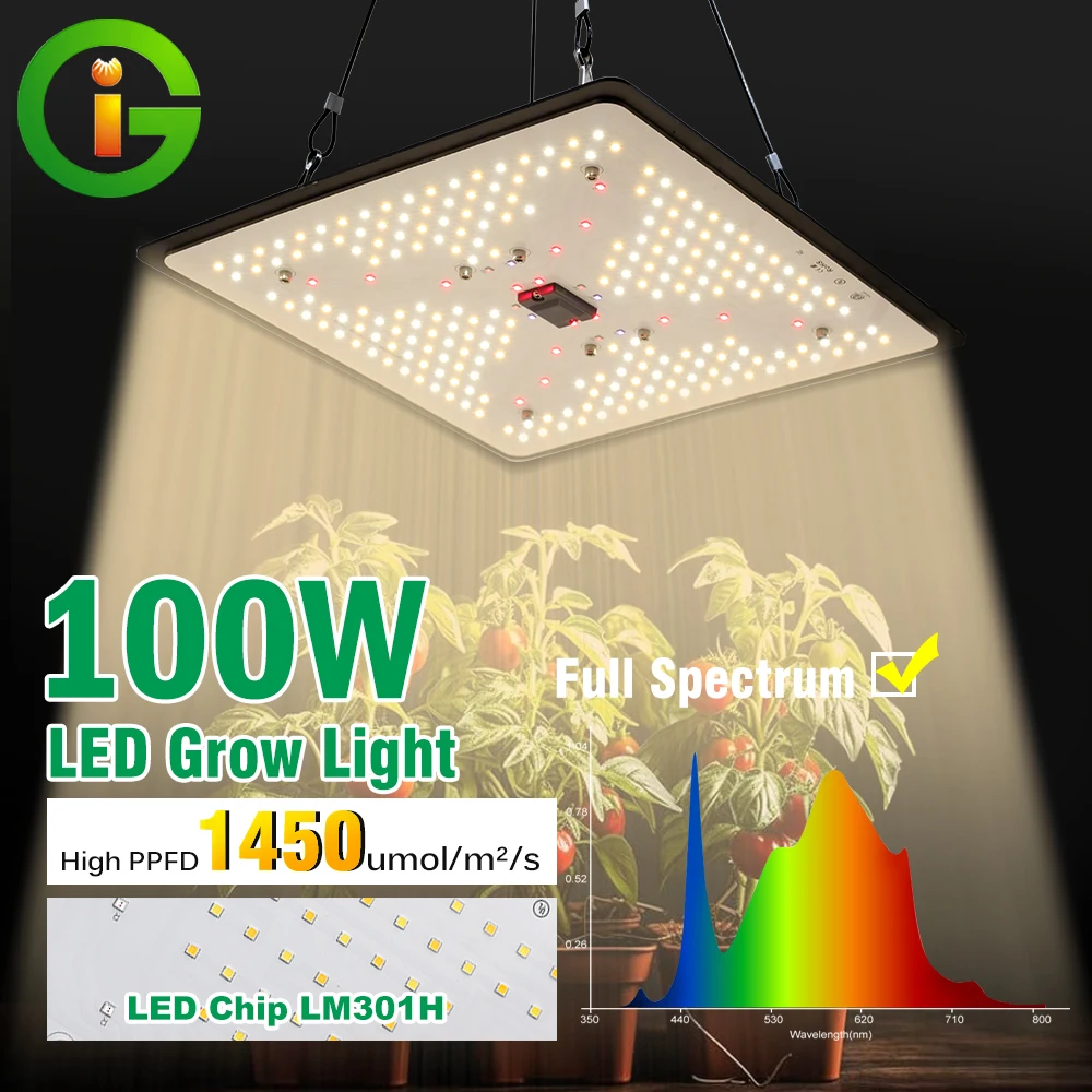 LM301H LED Grow Light 100W Dimmable Full Spectrum Quantum Board Fitolamp Light for Indoor Veg Flower Plants Lamp