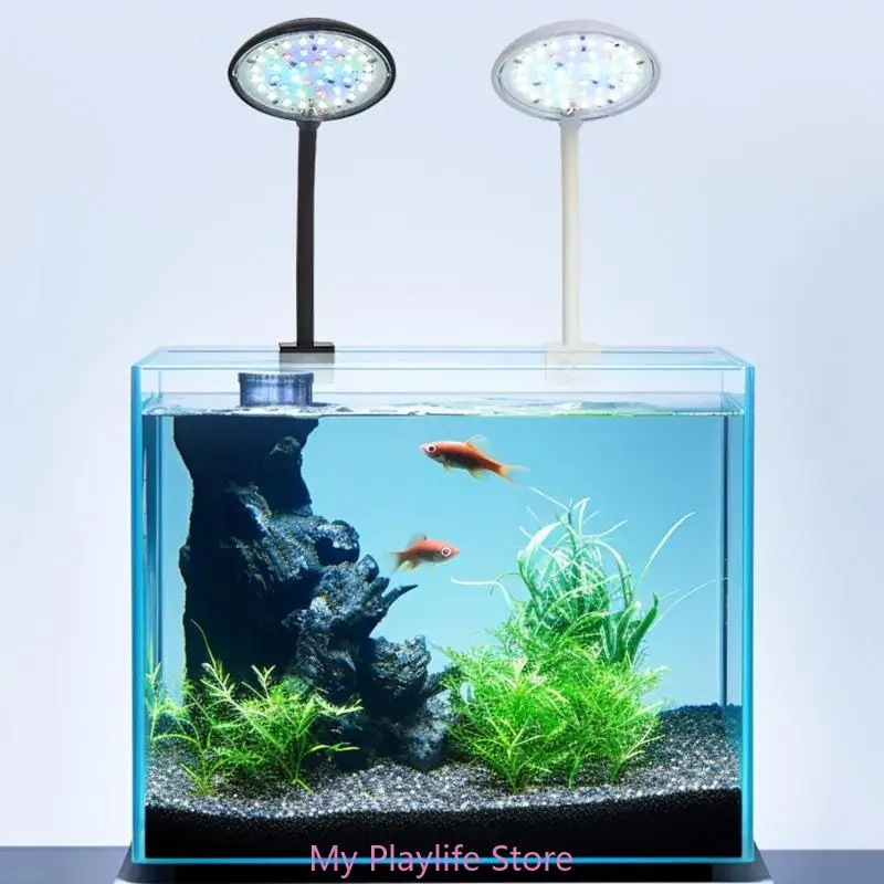 Ŭ   ȣ ִ  LED , ٴ幰 , Ŭ ȣ ũ, 5W, 7W