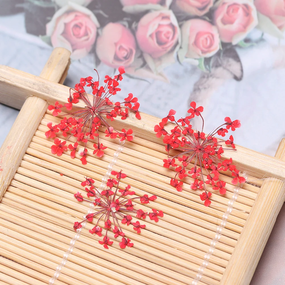 Description Picture 5 of item12pcs/set Pressed Dried Ammi Majus Flower True Flower Hand-made Plant For Home Party Decoration Gifts Crafts DIY Party Supplies
