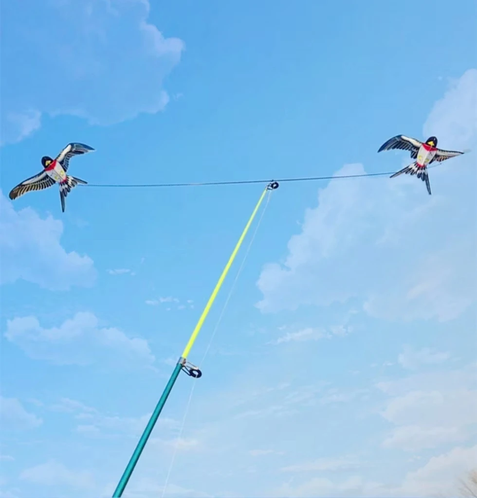 Mini Pole Swallow Kites for Adults - Dynamic Windsurfing Kites with Fishing Rod Line swallow kites