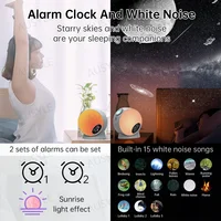 Galaxy Projector Planetarium Night Light Meteor 13 in 1 Ultra Clear Projector For Room Decoration Gift 3