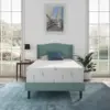 Twin Size Mattress, 12 Inch Anula Green Tea Infused Memory Foam Mattress, Twin Size Mattress Bed in a Box 1