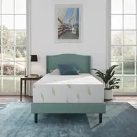 Twin Size Mattress, 12 Inch Anula Green Tea Infused Memory Foam Mattress, Twin Size Mattress Bed in a Box 1