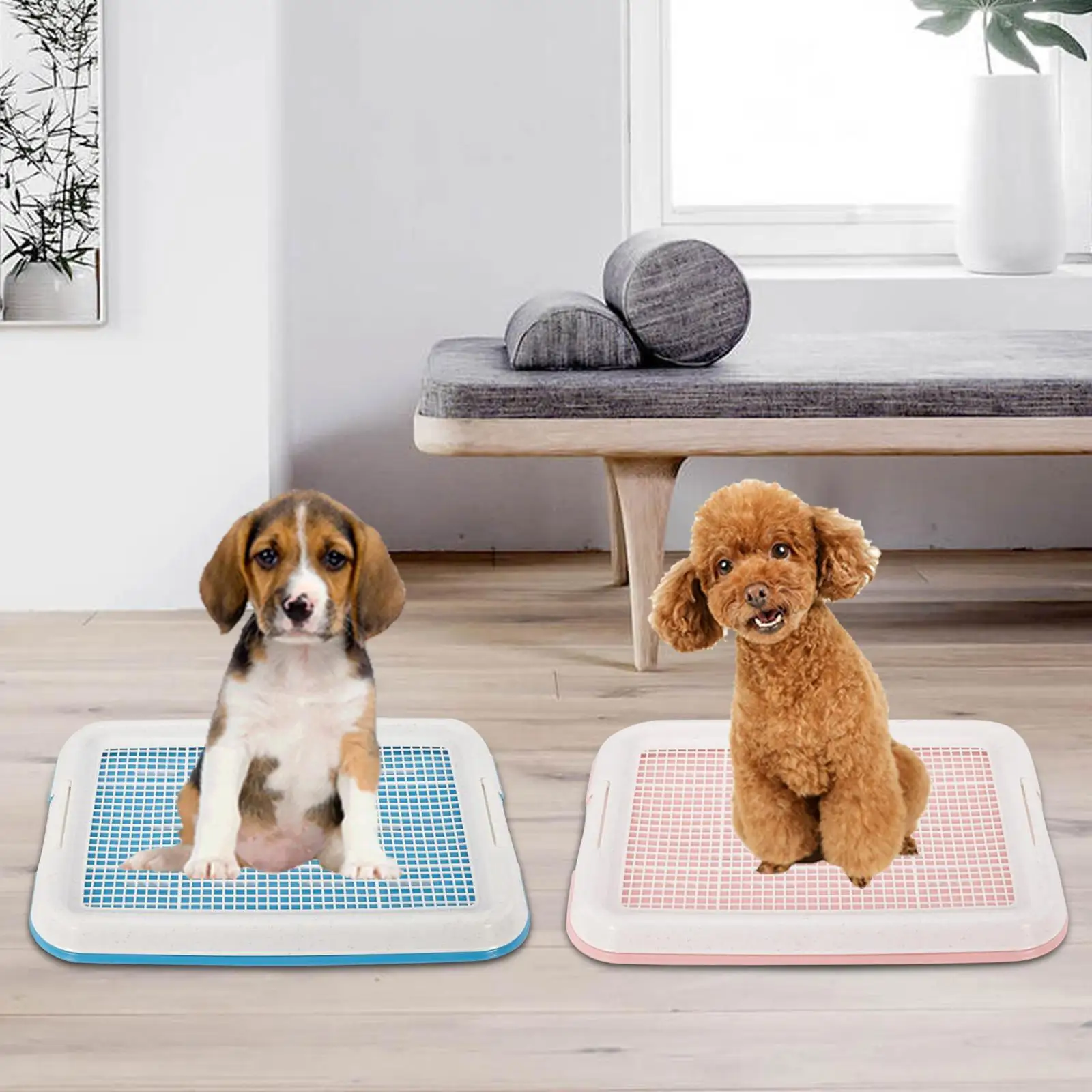 Dog Potty Training Tray for Small Size Dogs