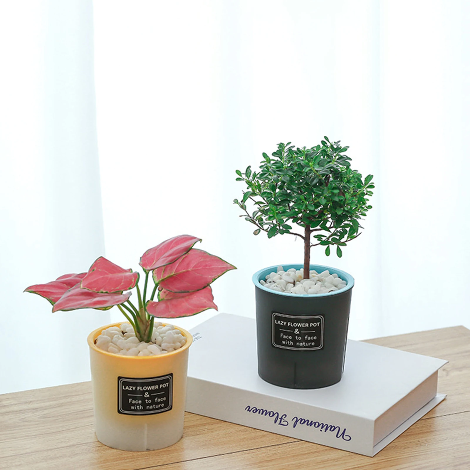 Translucent Detachable Self-Watering Flower Pot with Enhanced Drainage