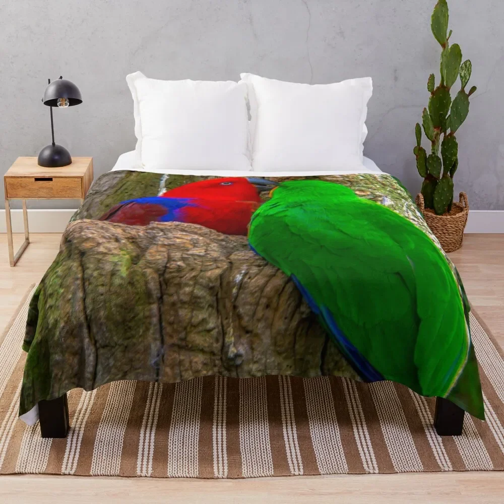 

Eclectus Parrots Throw Blanket Soft Big Plaid on the sofa Plaid Blankets