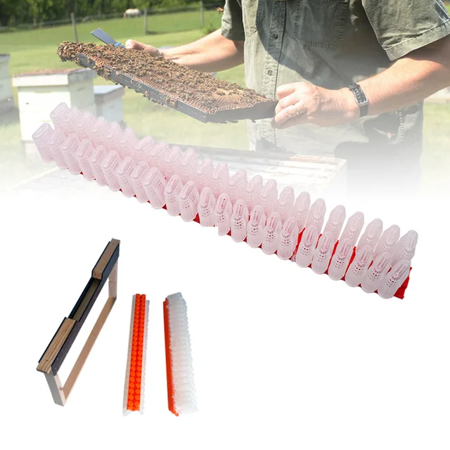 Méhészeti Királynő Nevelése Jzbz Hajózási Bár Queen Banking Frame Jz-Bz Méhkagácsa Szállító Felszerelés - Image 2