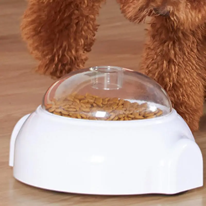 ��ȭ �� �� ġ�� ���漭 ������ ġ�� �Ѹ� ���漭 ���� ���� ���� �Ǵ� ������ �������� ���� �Ʒ� �峭��