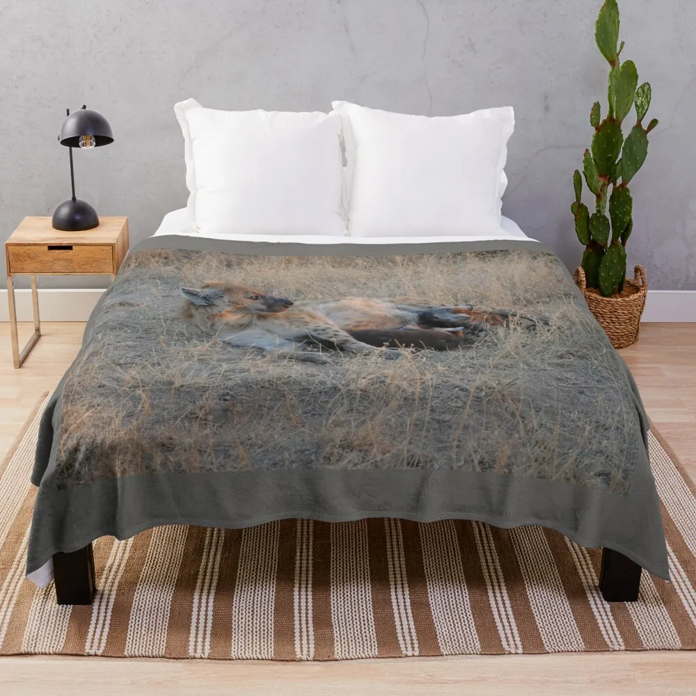 

Hyenas at Sunrise Throw Blanket Vintage Blanket Plaid Fashion Sofa Blankets Nap Blanket