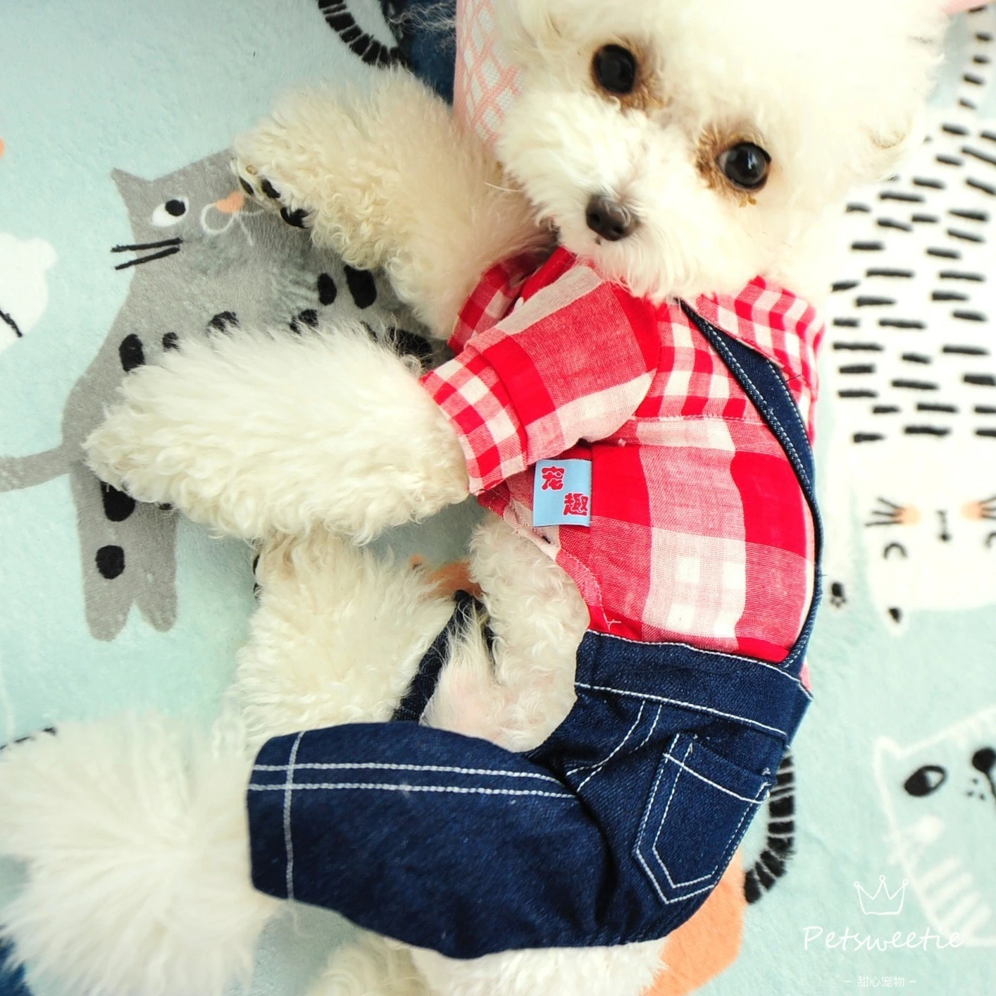 

Джинсовые ремни, брюки, одежда для домашних животных, одежда для собак, весна и лето, искусственные медведи Тедди