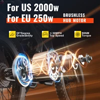 STLF Ridingtimes GT73 48V pour US 2000W pour EU 250W électrique Fatbike PEDAL ASSIST 26 pouces route pneus de montagne électriques Dike Ebike 6