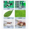 Wireless Digital Microscope 50X-1000X Magnification Mini Handheld Endoscope Inspection Camera with 8 LED For iPhone Android 6