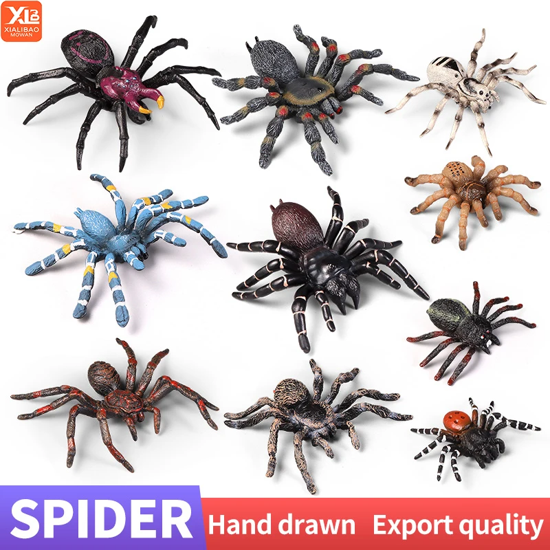Pädagogische Insekten Spinne Spielzeug Zoo Action Figur Set Tier Welt Wissenschaft Kognitive Lernen Modell Simulation Dekor für Kinder