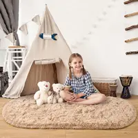 Oval Soft Silkly Plush Carpet Modern Home Decor Living Room Sofa Coffee Table Floor Rug Girl Bedroom Foot Mat Balcony Cushion 2