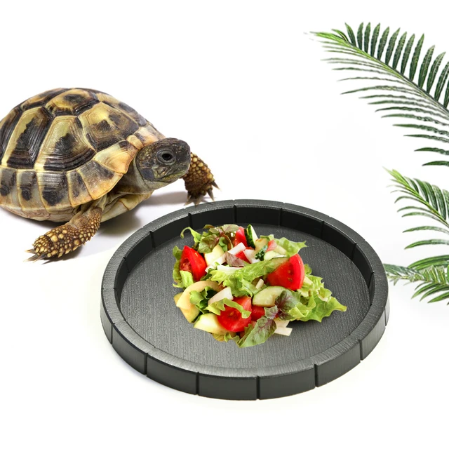 Black plastic material, round and hexagonal reptile lizard, turtle feeding basin, water basin, frog bath basin Black plastic material, round and hexagonal reptile lizard, turtle feeding basin, water basin, frog bath basin