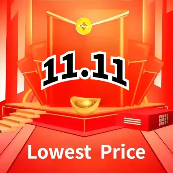 Double 11 SSD Promotion Store