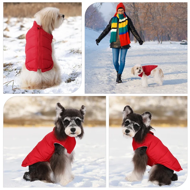 Winter Coat Good Dog Walking Jackets Dog Raincoats For Large Dogs