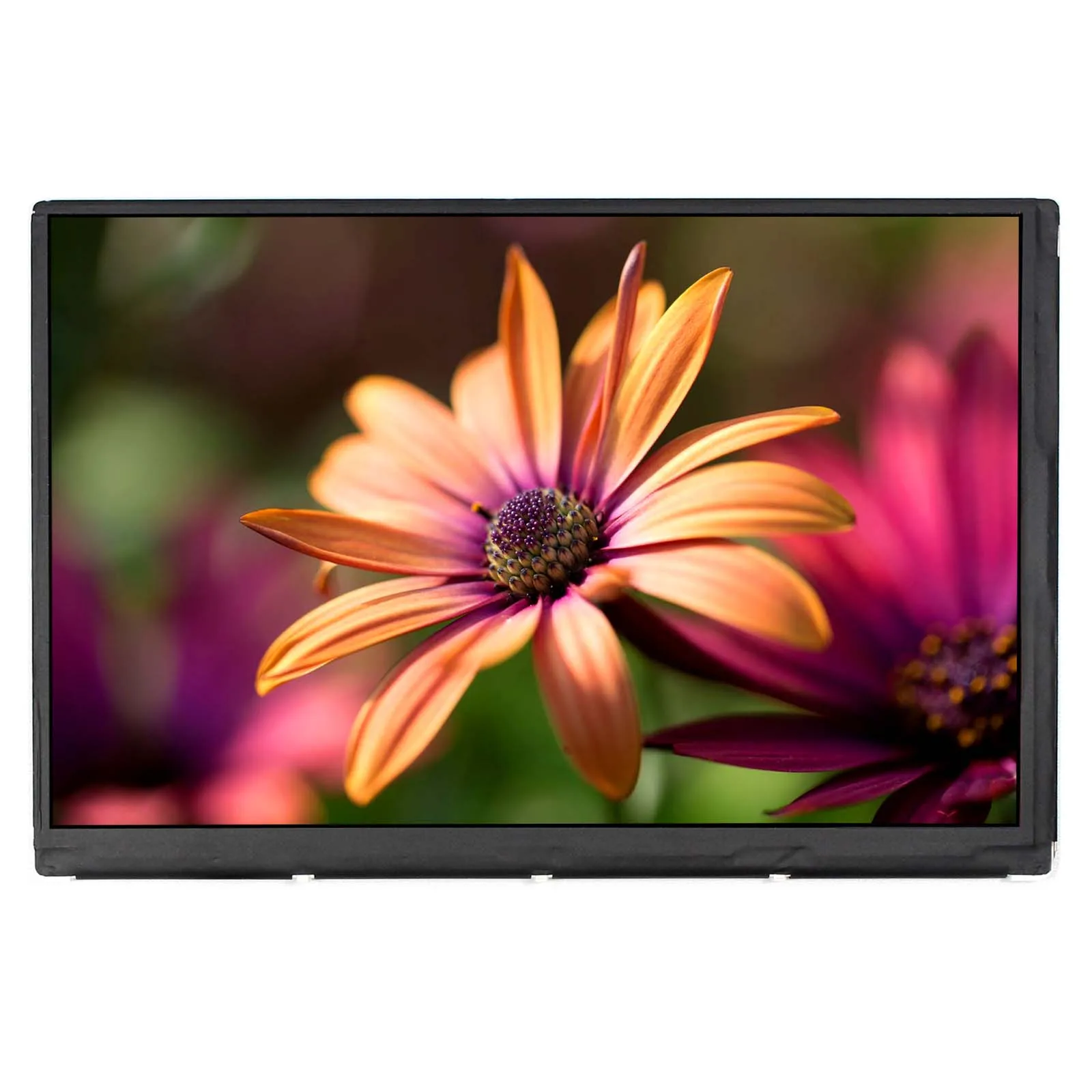 

7-дюймовый ЖК-экран 1280x800 N070ICG-LD1 IPS ЖК-дисплей 39Pin разъем