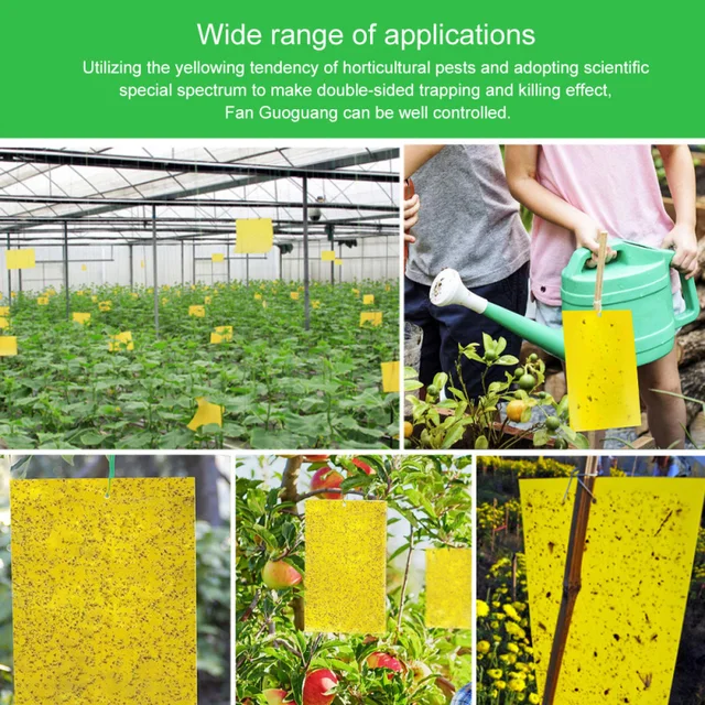 Otthoni Kiegészítők Szerszámok Ragadós Csapdák Erős Ragacsos 10/20/ Növényi Matrica Sárga Kétoldalas Bugok Táblák Üvegház - Image 6