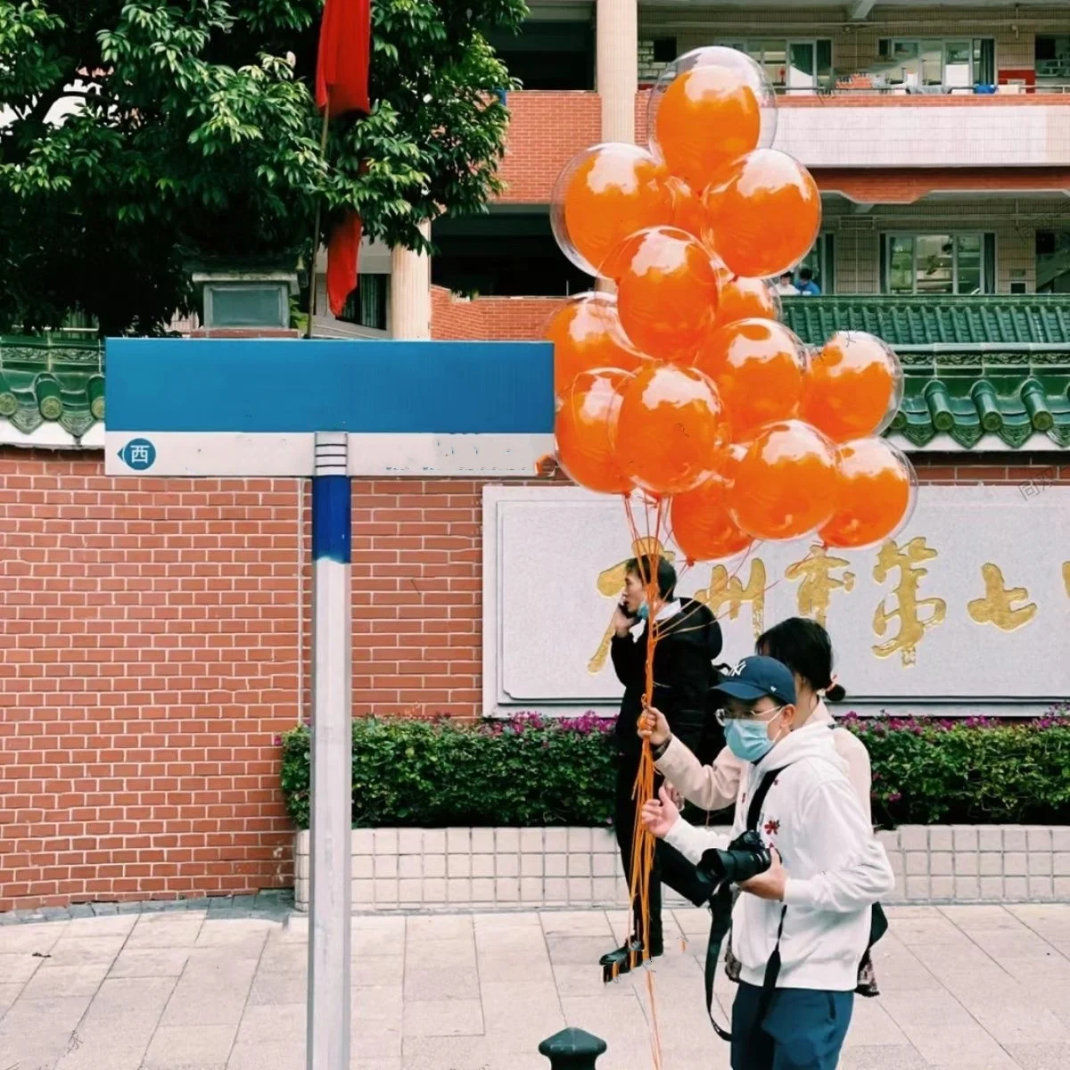 팽창식 투명 보보 풍선, 생일 파티 용품, 웨딩 베이비 샤워 장식 풍선, 8 인치, 11 인치, 18 인치, 20 인치, 24/36 인치, 50 개