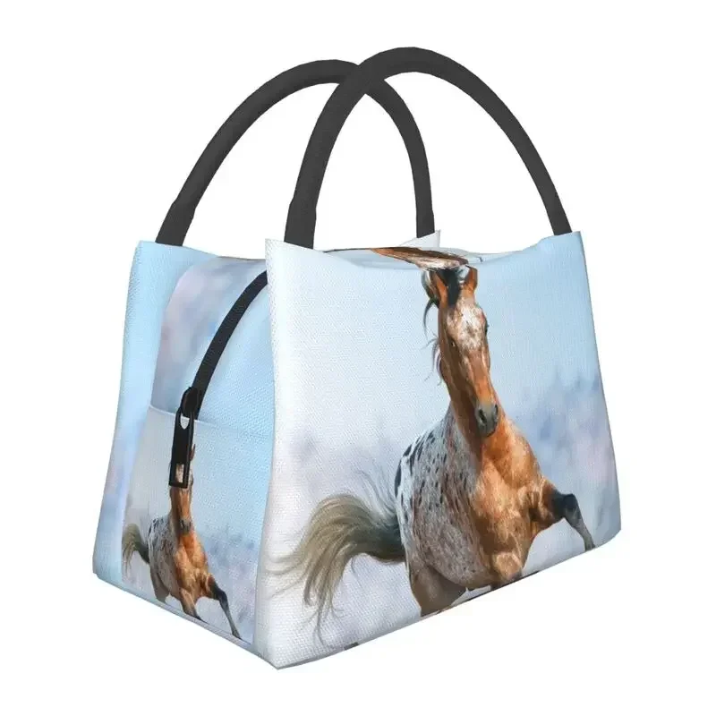 Beautiful Appaloosa Stallion Running Gallop Borsa Da Pranzo Isolata Per Le Donne Portable Horse Thermal Cooler Lunch Box Beach Camping
