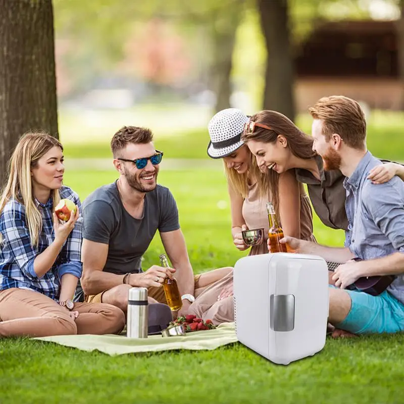Mini Fridge Mini Portable Fridge Skincare Portable Small Refrigerator Cooler And Warmer For Cosmetics Foods 12V