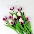 Image 15
