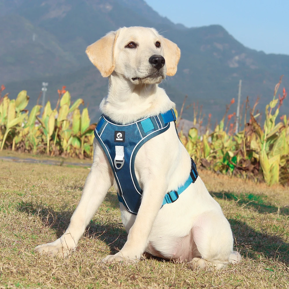 Dog Harness Image 19