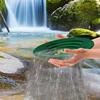 10/14/15 inch Washing Gold Panning Machine Screen Mining Screen Metal Detection Tools Sieve Gold Pan Green Plastic Bowl 1/3 PCS 6