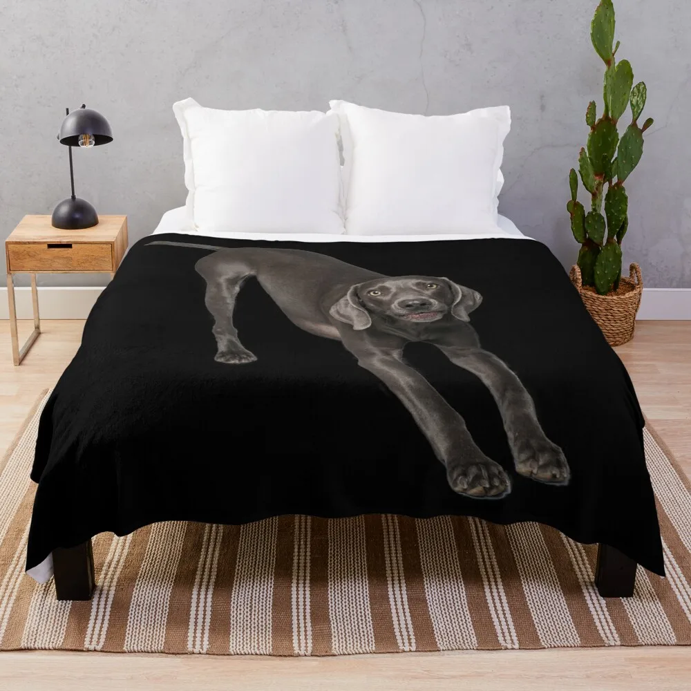 

Weimaraner bow Throw Blanket for winter Moving blankets and throws Flannel Fabric Blankets