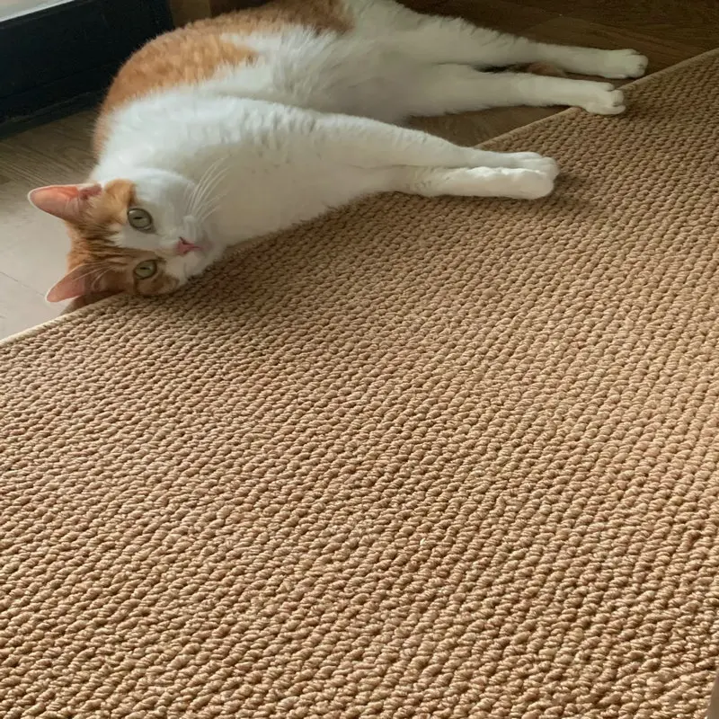 Tapis de zone Zen de Style japonais, aspect Sisal, antidérapant, doux pour la peau, lavable, résistant aux animaux de compagnie, facile à nettoyer, décor moderne et minimaliste