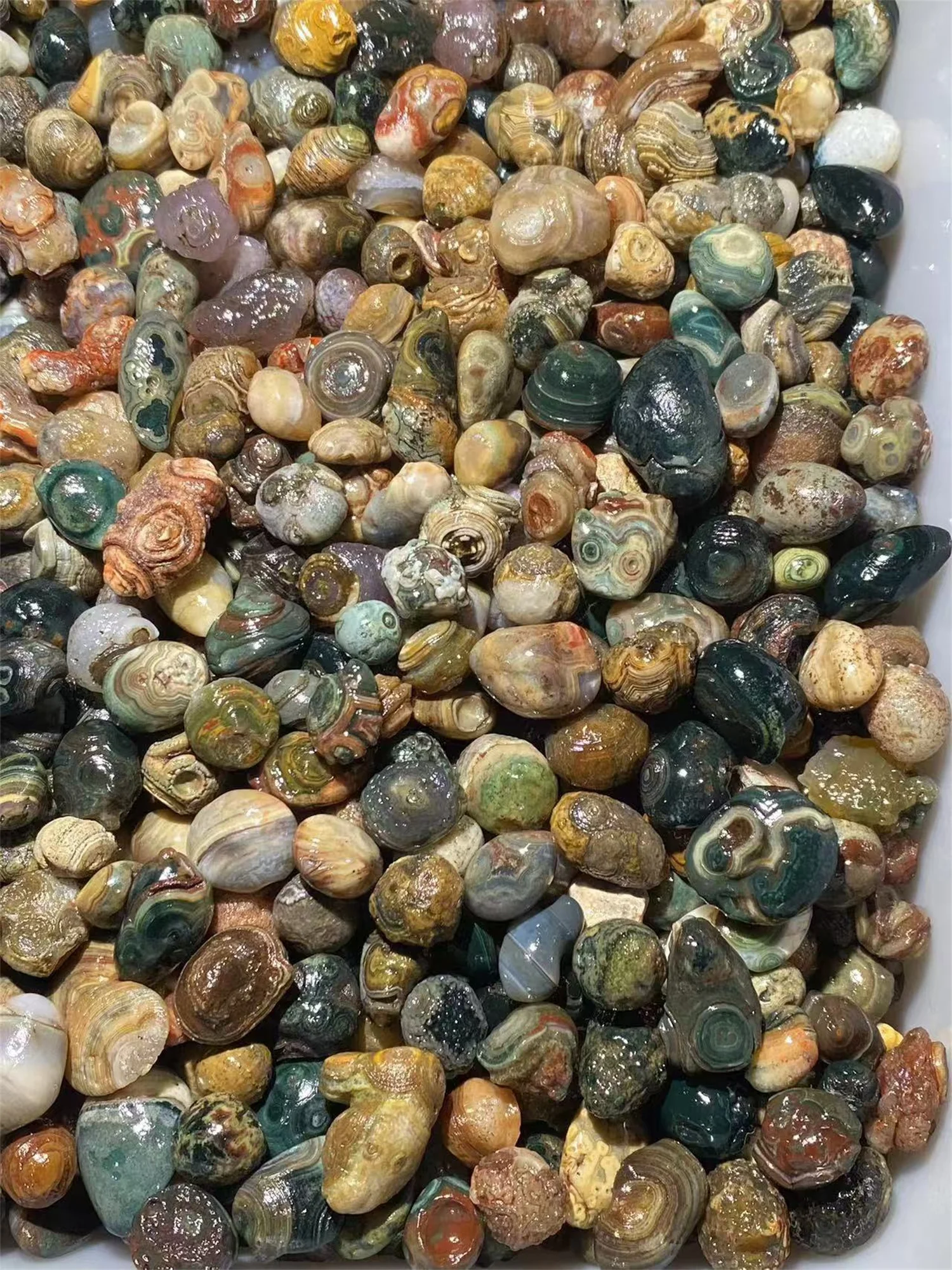 1kg/lot Rare Colorful Eye Stone Gobi Agate Non-Porous Bulk Rough Collectibles Miraculous strong energy amulet