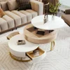 Modern Round Lift-top Nesting Coffee Tables with 2 Drawers for Living Room White & Natural 3