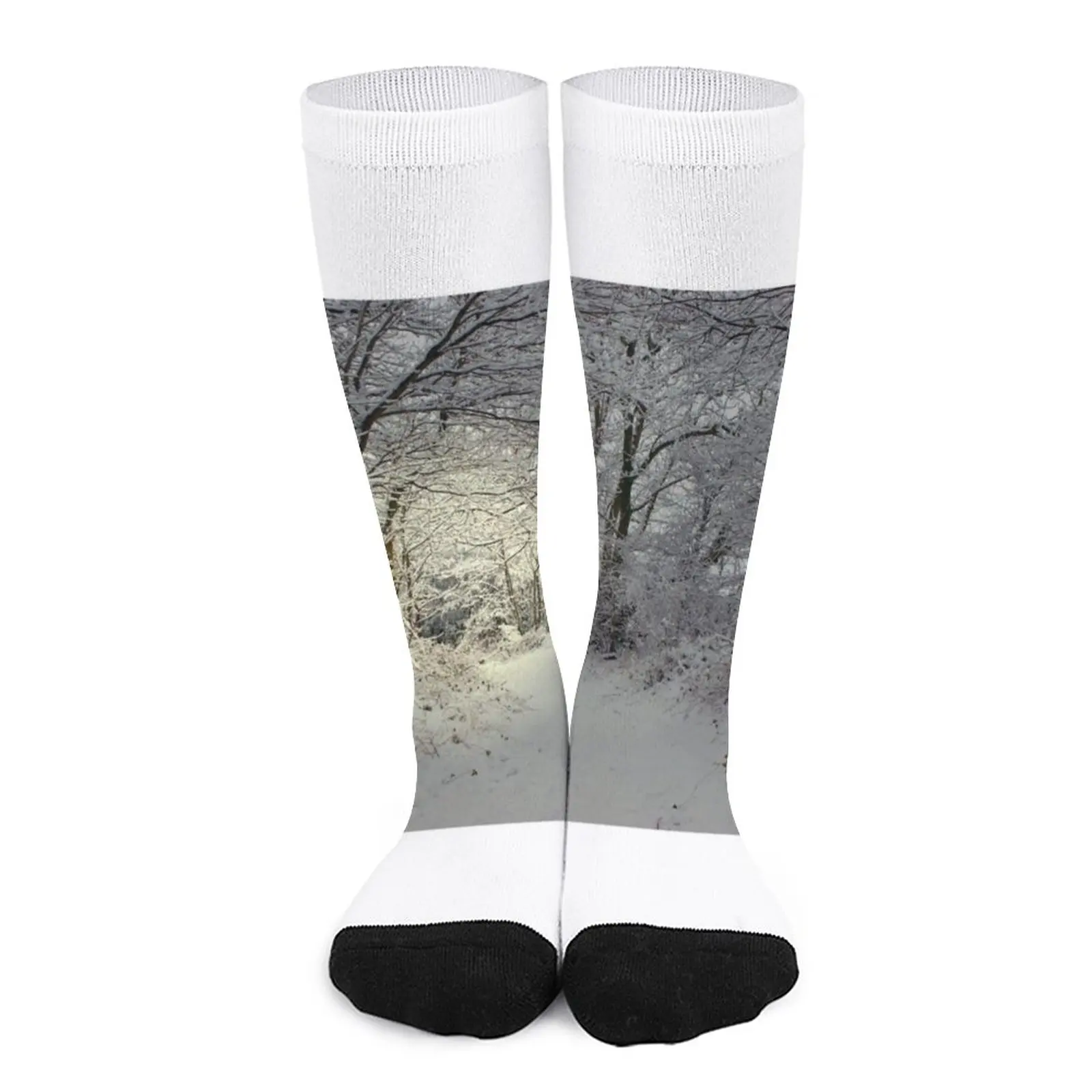 Narnia.....???? Socks Men's socks with print Woman socks chronicles of narnia box set
