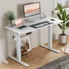 Adjustable Height Electric Sit Stand Up Down Computer Table, 40x24 Inch Ergonomic Rising, Computers Desks 1