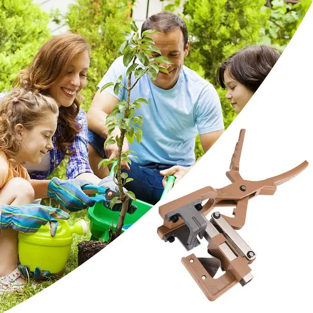 Oltó Készlet V-Vágású Szerszámfa Nem Csúszás Nélküli Fogantyúval Éles Bypass Metsző Olló - Image 4