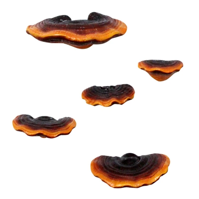 

5Pieces Realistic Glossy Ganoderma Decorations Gardening Gifts for Outdoor 45BE