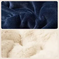Double Layer Thickened Lamb Plush Blanket Plush Fleece Plaids for Bed Sofa Warm Mantas Throw Blankets Bedspread 3