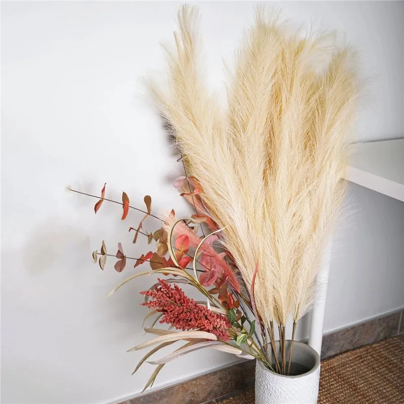Erba Pampa Artificiale - 5 Steli 120 Cm, Beige, Decorazione Casa E Matrimoni - Foto 7
