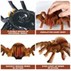 EBOYU 9986M RC Spider Remote Control Animal Large Size Realistic Tarantula Prank Gift Toys Vehicle Car Electric Kids Birthday 5