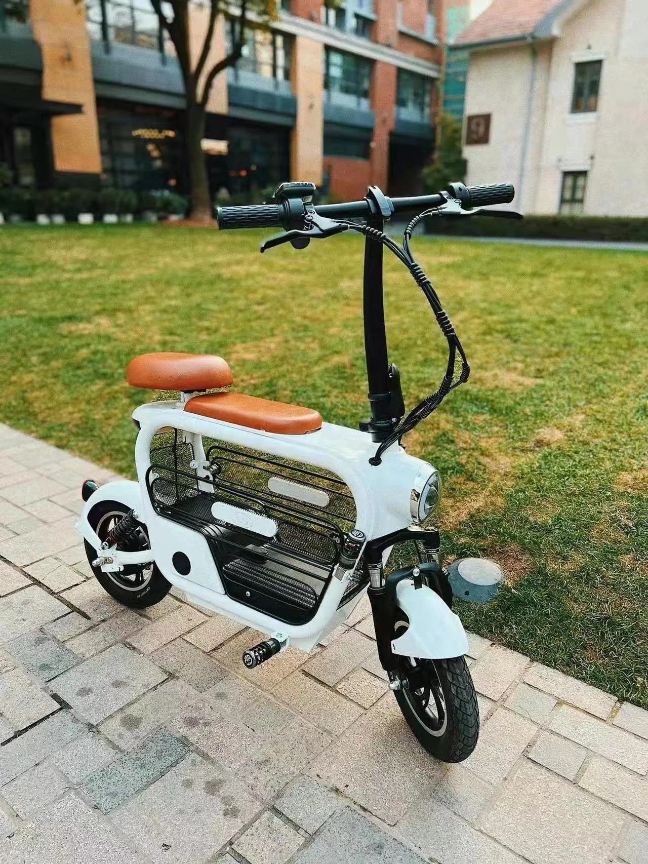 Good Price Electric Scooter Bike with Pet Carrier Scooter Pet Electric Citycoco for Dog Catcustom
