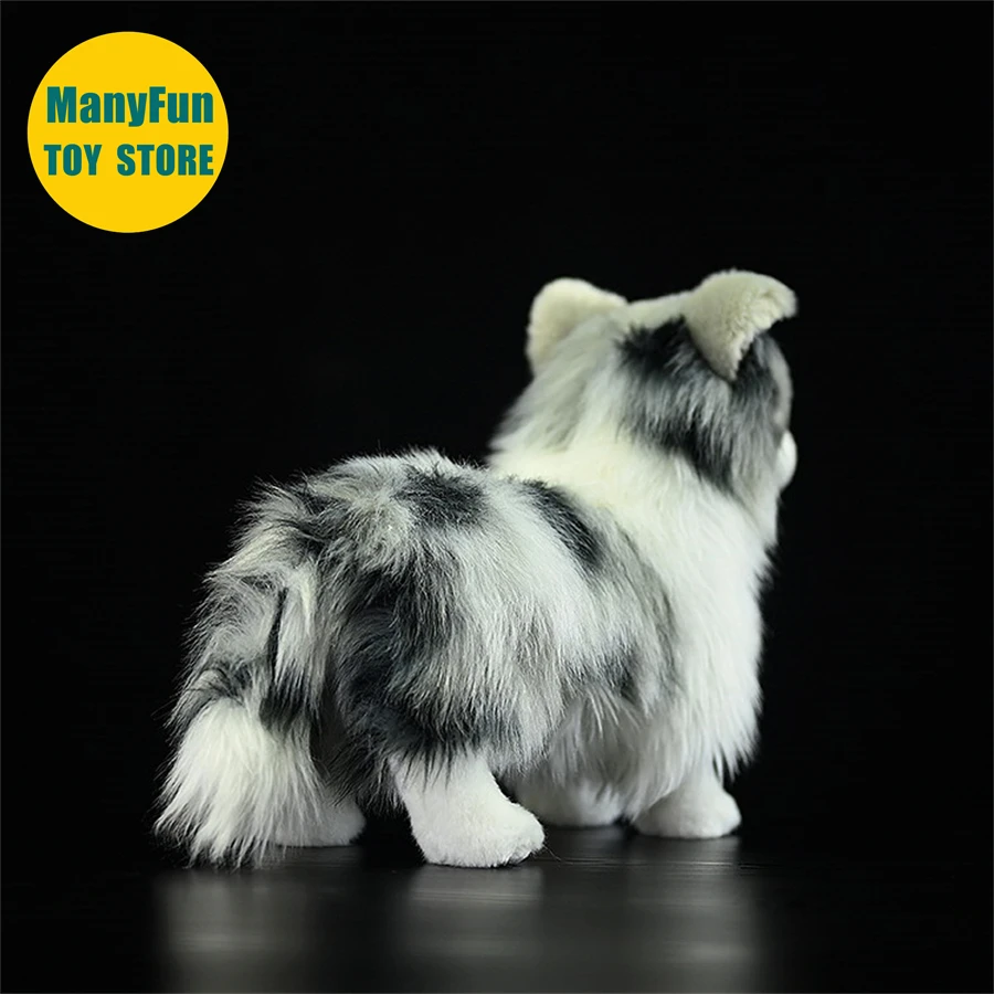 S52a382145a2f47bbb28ef9545d8181e8O - Border Collie Gifts