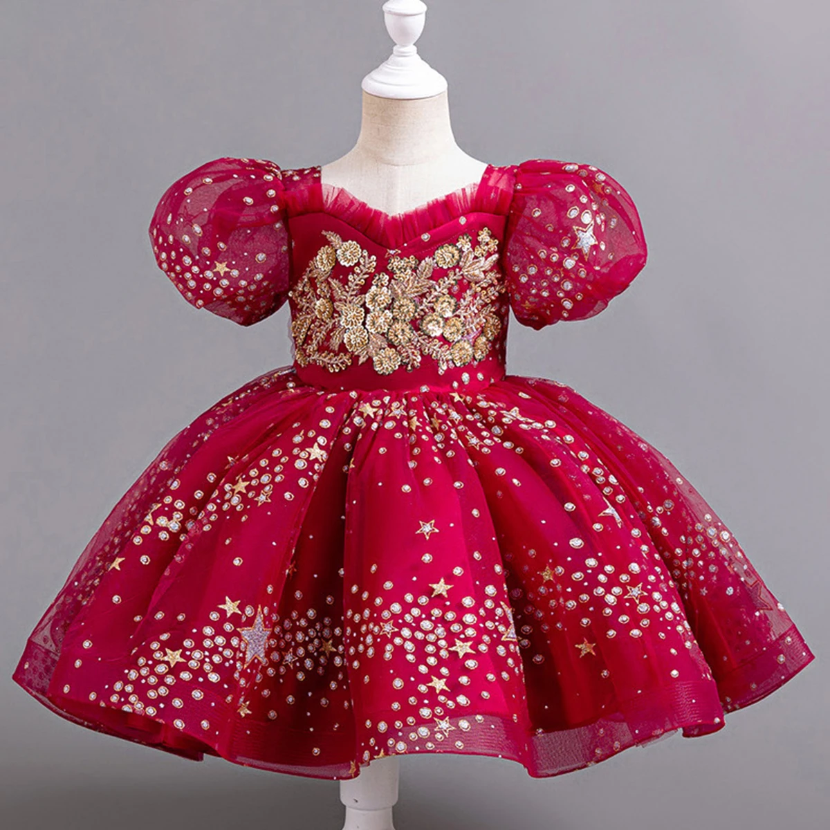 

Shiny Toddler Little Big Girls Puff Sleeves Embroidered Flower Girl Birthday Party Graduation Ceremony Pageant Gown