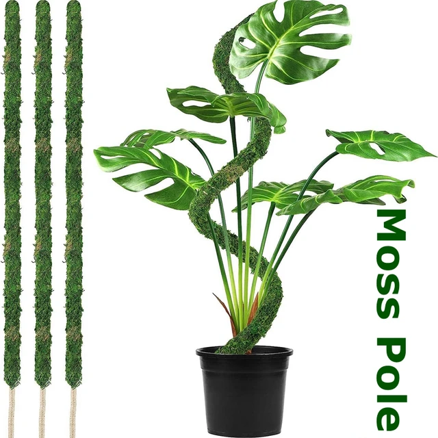 Moss Pólus A Növények Tartójának Hajlítható Kókuszültetõ Tartó Tét Diy Alakú Hegymászó Szőlõnövények Beltéri Cserepes Bonsai Szerszámok